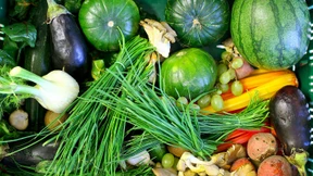 Schärfere EU-Regeln für Bio-Lebensmittel