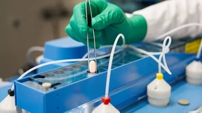 Pfizer beantragt in USA Notfallzulassung für neues Corona-Medikament