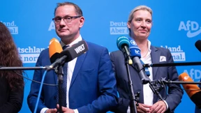 Ein Scheinriese namens AfD