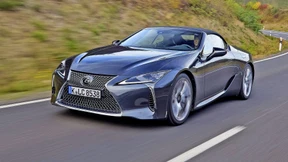 Aus dem Traumland der Exoten