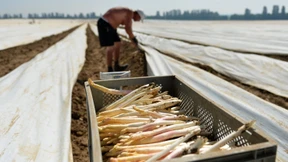 Lebensmittelpreise um mehr als 5 Prozent gestiegen
