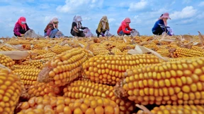 Steht denn die Vielfalt auf dem Spiel?