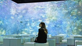 Eintauchen in den virtuellen Seerosenteich