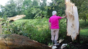 Tornado deckt Dächer ab