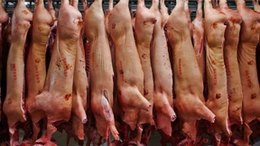 Wurstfabrikant Tönnies führt das Kartellamt vor