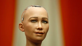 Werden wir für sie wie Katzen sein?