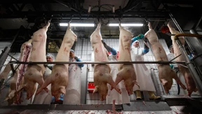 Coesfeld zieht die Notbremse