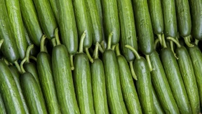 Schon mal Fuchslungenmus gegessen?