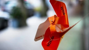 Barfuß in die Insolvenz 