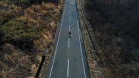 Retter der verlorenen Tiere