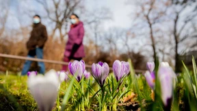 Wie sich saisonale Effekte auf das Virus auswirken