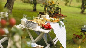 Das Leben ist ein Picknick