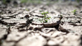 Juli wird in Geschichtsbücher eingehen