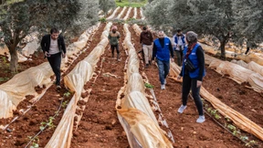 Leserbriefe vom 2. Juli 2024