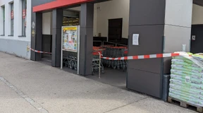 Spinnen-Sichtung legt Supermarkt tagelang lahm