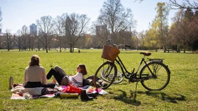 Dumm, diszipliniert, diffizil