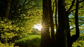Der tote Vater bleibt schön in seinem Grab