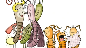 ...wie Motten das Licht