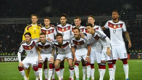 Agil, aufmerksam, wuchtig