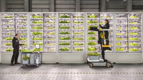 In Aldi-Filialen wachsen jetzt Kräuter