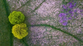 So schön, so bunt, so nah!