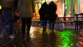 Ja, wo krabbeln sie denn?