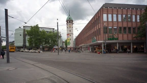 Von Bäumen und Bienen