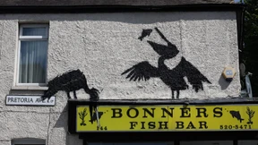 Banksys fünftes Graffito zeigt Pelikane