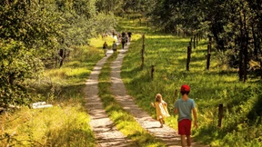 Banken sind mit Biodiversität überfordert