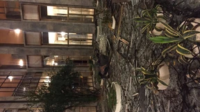 Kein Volk von Untertanen