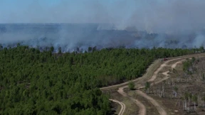 Mehrere Waldbrände in ganz Deutschland