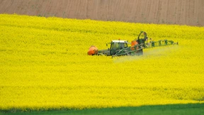 EU-Behörde: Glyphosat eher nicht krebserregend