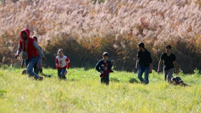 Österreich plant Zaun an der Grenze zu Slowenien