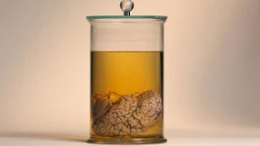 Herr, wirf Hirn herunter