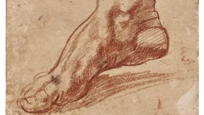 Das hat Hand und Fuß