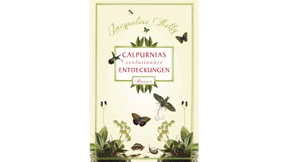 Heuschrecke, steh mir bei!