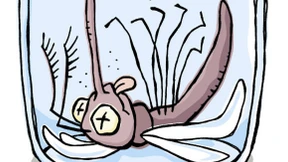 Und jetzt verschwinde, Moskito