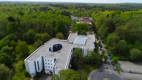 Offenbach will Wald fit für die Zukunft machen