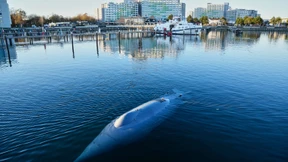 Unterwasserdrohnen sollen Infrastruktur schützen