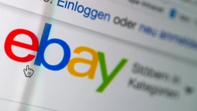 Handzahme Stubenfliege zu verkaufen