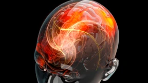 Können wir das Gehirn kurieren?