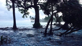 Aufbäumen gegen den Untergang