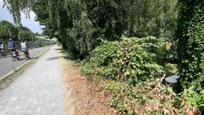 Minderjährige sollen Mädchen sexuell belästigt haben