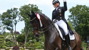 Formüberprüfung für die WM