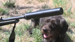 Nachfrage nach Schalldämpfern verdoppelt