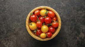 Die Suche nach der richtigen Blume