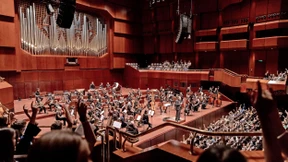 Wie klingt ein lachender Phönix?