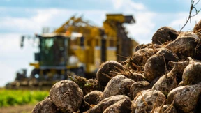 Was gutes Essen mit gesundem Boden zu tun hat