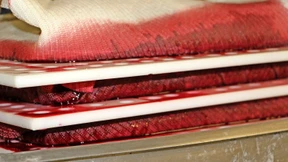 Wie sich das Aroma von Walderdbeeren erzeugen lässt