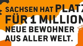 Die AfD und ihre Resistenz gegen Piratenfehler
